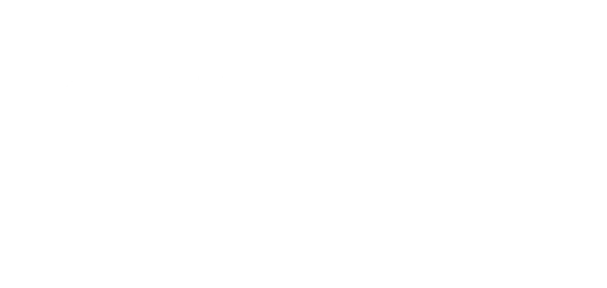 Roland Berger